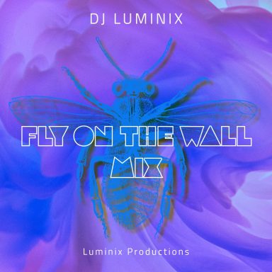 Fly On The Wall Mix